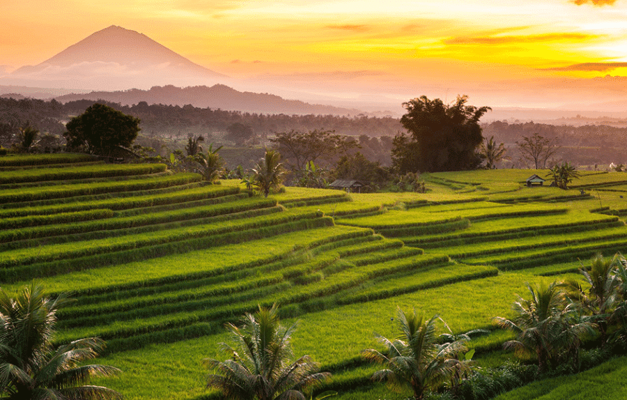 3 days in bali what to do