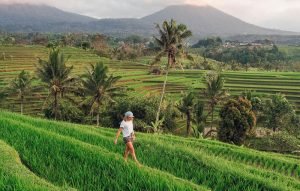 Best Bali Trip to Jatiluwih Rice Terrace