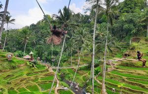 Ubud Swing near Kintamani