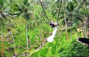 Alas Harum Swing Ubud